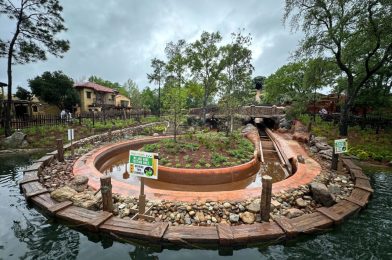 Ride Testing Signs Installed at Tiana’s Bayou Adventure in Magic Kingdom