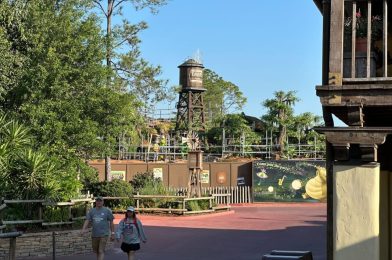 PHOTOS: Real Plants Installed, Barn Window Opened at Tiana’s Bayou Adventure in Magic Kingdom