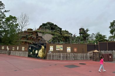 PHOTOS: New Gate and More Plants Installed in Tiana’s Bayou Adventure Queue at Magic Kingdom