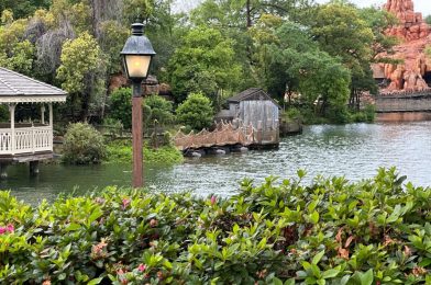 PHOTOS: Tom Sawyer Island Barrel Bridge Returns 9 Months After Removal