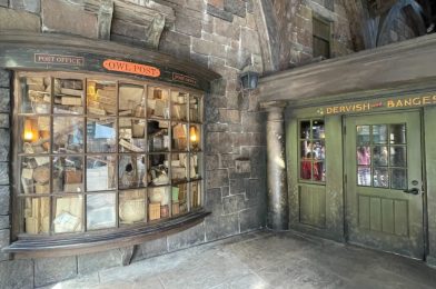 RUMOR: New Spells and Wands Coming Soon to The Wizarding World of Harry Potter