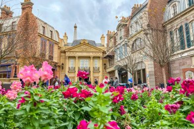 The One Restaurant You Need to Rope Drop in EPCOT