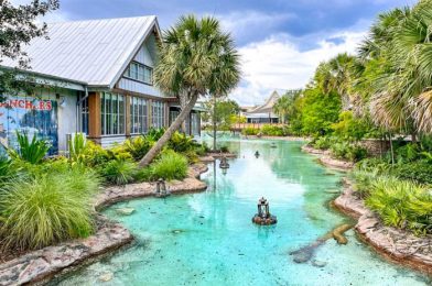 DFB Video: 50 AMAZING Things You Never Knew Were In Disney Springs