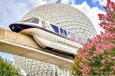 7 Things You Should Always Eat at EPCOT According to a Food Editor