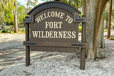 FULL TOUR: We Got an Exclusive Look at the NEW Fort Wilderness Cabins in Disney World!