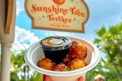 Ranking the BEST Magic Kingdom Snacks Under $10