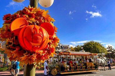 Disney World’s EXPENSIVE Mickey’s Not-So-Scary Halloween Party Add-On Is RETURNING in 2024