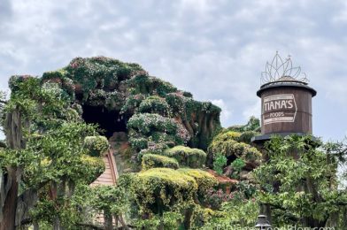 “Fifty Foot Plunge Ahead!” Things Are Getting REAL at Tiana’s Bayou Adventure in Disney World!