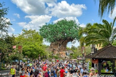 If Disney’s Animal Kingdom Expansion Doesn’t Include this Epic Ride, We’re Not Going.