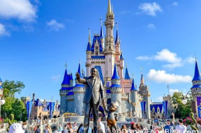 I Go To Disney World Every Day — Here’s What I’m Taking With Me This Summer