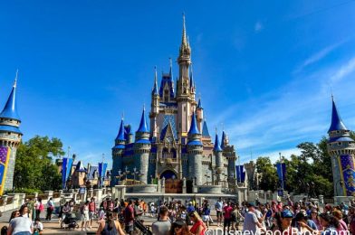 9 Cringey Things That Make Me Rethink Walking Into Magic Kingdom Ever Again