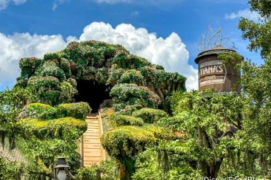 FIRST LOOK at On-Ride Photo for Tiana’s Bayou Adventure in Disney World