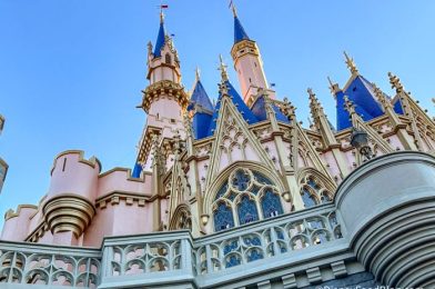 NEWS: Disney Reports Higher Ticket Prices Drive $747 MILLION Revenue INCREASE