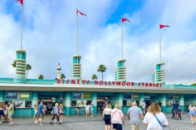 FIRST LOOK: Disney Reveals a FREE Souvenir at Hollywood Studios