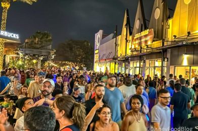 2 Ways To BEAT the Chaotic Crowds at Disney World’s NEW Drone Show