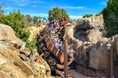 Disney World’s Biggest Ride is Averaging Waits Close to 100 Minutes!