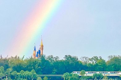 DFB Video: 12 Things People Don’t Realize About Disney World