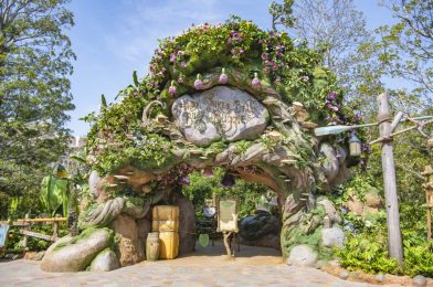 Full Daytime AND Nighttime Videos of Fairy Tinker Bell’s Busy Buggies in Fantasy Springs at Tokyo DisneySea