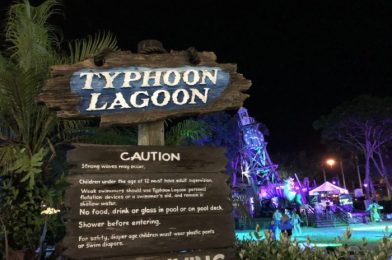 REVIEW: We Ate Out of a BATHTUB at Disney’s H2O Glow Night Event at Typhoon Lagoon!