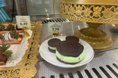 REVIEW: Mickey Chocolate Mint Sandwich Cookie is a Minty Mess at Magic Kingdom