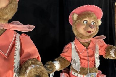 BREAKING: Sun Bonnets Get New Costumes for Country Bear Musical Jamboree