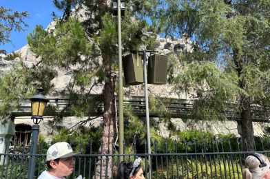 Speakers Return to Disneyland Parade Route After One Fell in Guest Path