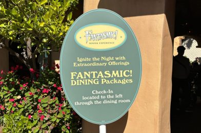 REVIEW: Rancho Del Zocalo ‘Fantasmic’ Dining Package Beats Blue Bayou