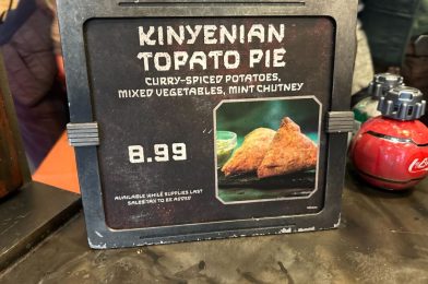 REVIEW: New Kinyenian Topato Pie Samosa at Star Wars: Galaxy’s Edge in Disneyland