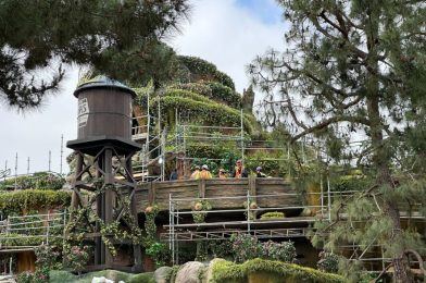 Flowers, Foliage Added to Tiana’s Bayou Adventure at Disneyland