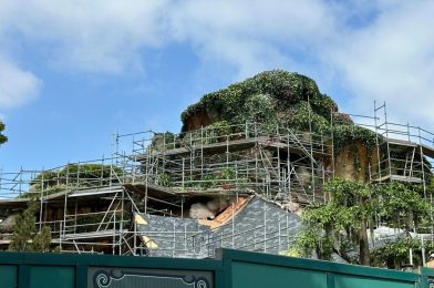 New Tree Added to Tiana’s Bayou Adventure at Disneyland