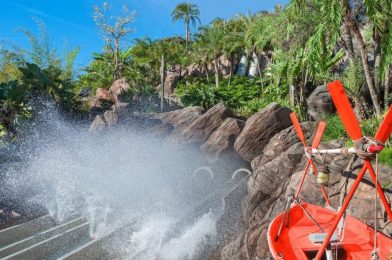 Brain Injury on Typhoon Lagoon Slide Prompts Lawsuit