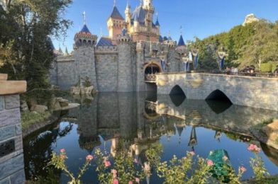 NEW Disneyland Summer 2024 Offers