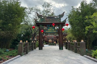 PHOTOS, VIDEO: ‘Po Live’ in Kung Fu Training Camp at New DreamWorks Land