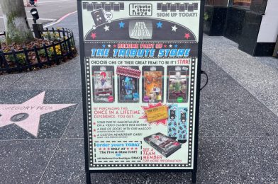 Star In a Mega Video Rentals VHS Tape at the Summer Tribute Store at Universal Studios Florida