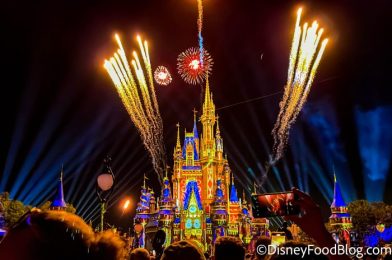 Is It Time To Say Goodbye to the Magic Kingdom Fireworks? 1,000 Disney Fans Had STRONG Opinions