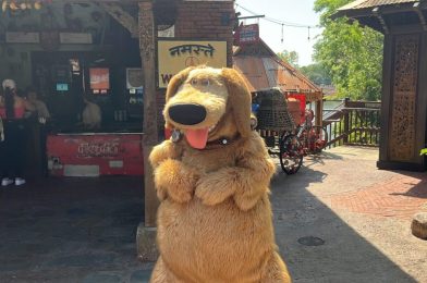 VIDEO: Talking Dug From ‘Up’ Arrives at Disney’s Animal Kingdom