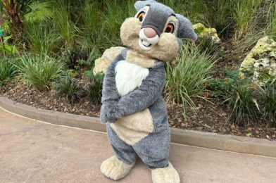 PHOTOS: Thumper and Eeyore Meet Guests at Disney’s Animal Kingdom