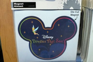 Disney Dreams That Soar Magnet Debuts at Disney Springs