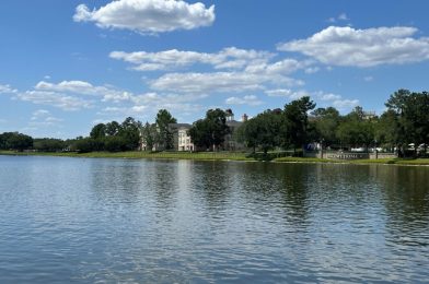 Fence Installed at Saratoga Springs Resort for Disney Springs Drone Show Viewing