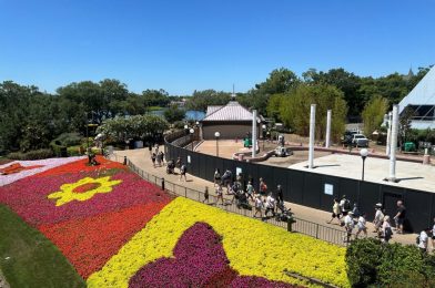 PHOTOS: More Shade Coming to EPCOT with New World Celebration Flex Space