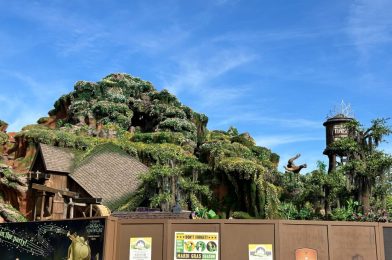 Scaffolding Removed from Tiana’s Bayou Adventure Mountain & More: Daily Recap (4/30/24)