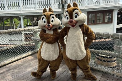 PHOTOS: New Chip ‘n’ Dale Meet and Greet Location at Magic Kingdom