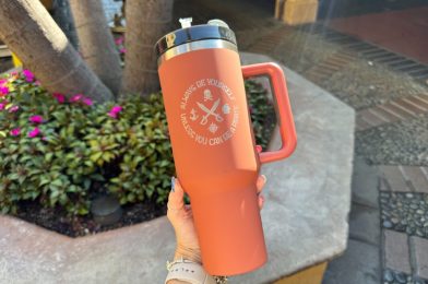 Stanley-Like Pirates of the Caribbean Tumbler at Walt Disney World