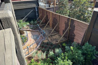 Lily Flower Pavement Uncovered in Tiana’s Bayou Adventure Queue at Magic Kingdom