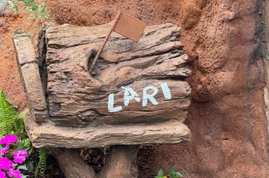 Official Name & Opening Window for DVC Tower at Disney’s Polynesian Village Resort & More: Daily Recap (5/10/24)