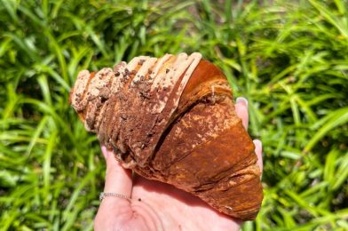 REVIEW: Disappointing Espresso Croissant Available at Walt Disney World Resort Hotels