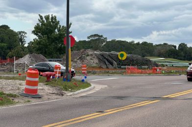 Shades of Green Resort Entrance Sign Returns After 4 Months of Construction