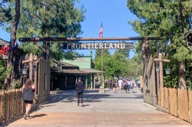 REVIEW: Stop Overspending on Meals at Disneyland and GO HERE Instead!