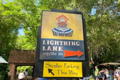 The Bad News About Disney World’s New Lightning Lane Multi Pass Skip-The-Line System