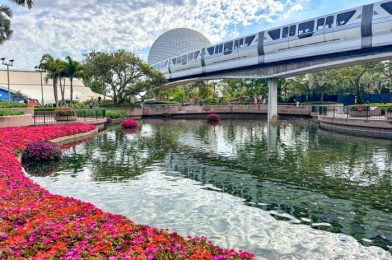 Well, That Didn’t Last Long. Construction Walls Are BACK in EPCOT!